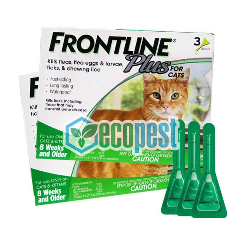 Frontline Plus trị ve rận cho mèo