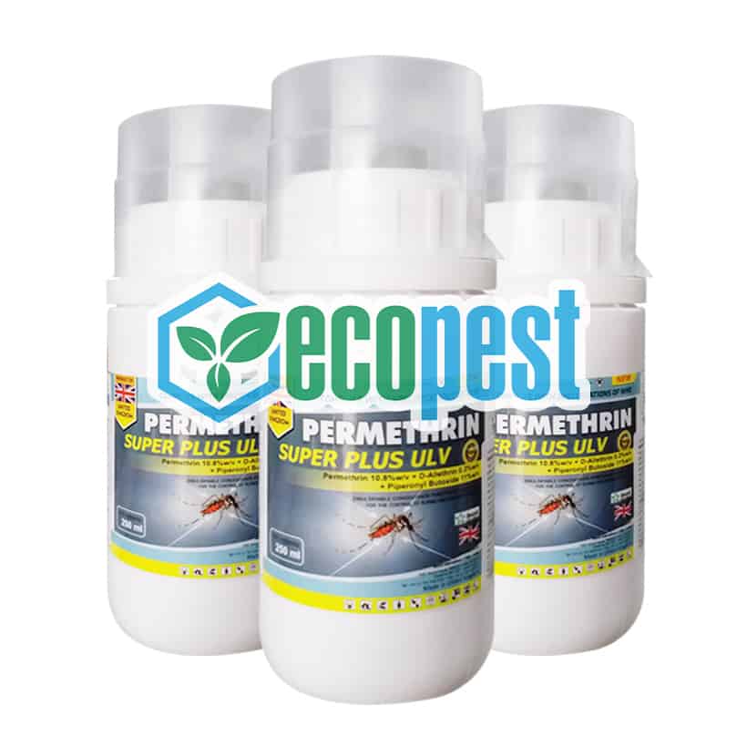 EcoPest