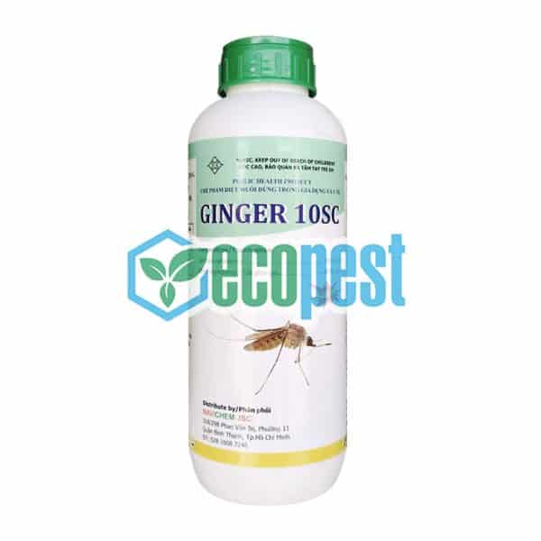 Ginger 10SC thuốc diệt muỗi