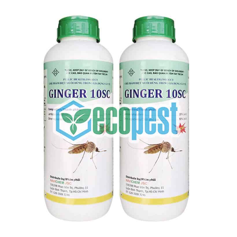 Ginger 10SC thuốc muỗi Ấn Độ