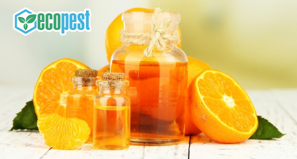 Tinh dầu cam giúp xua đuổi mối mọt an toàn và hiệu quả