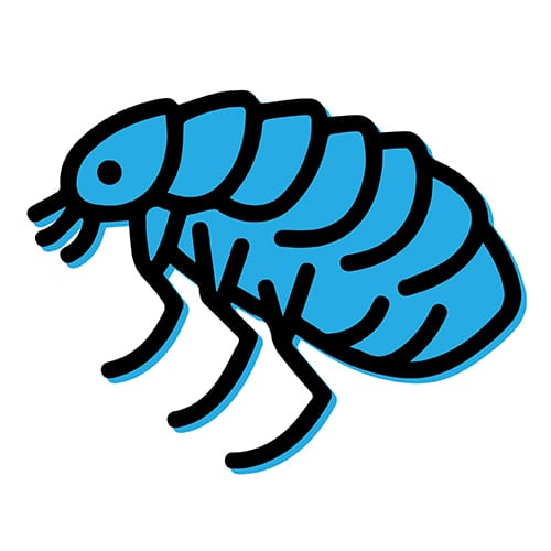 EcoPest