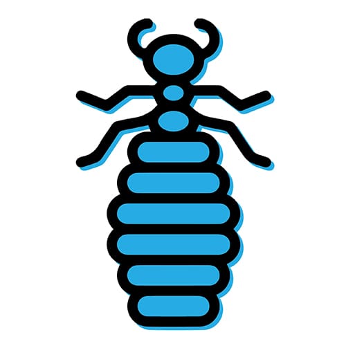 EcoPest