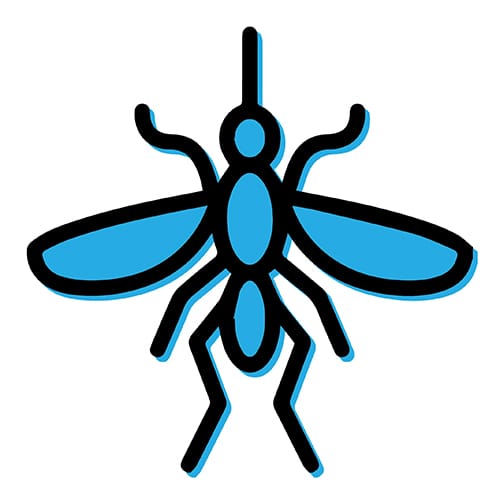 EcoPest